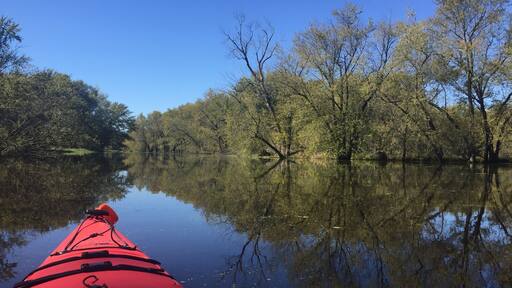 We went back to the states for a wedding and a house sit on the Mississippi in a little town called Wabasha. It's one of our favorite areas of Minnesota, aside from the north shore. It was nice to be in nature in the middle of silence.
#mn #mississippi #minnesota #kayak #rivertown #wabasha
