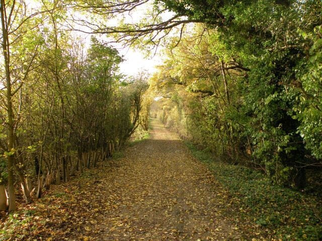 Pathfinder Walk looking west This section of the walk is also a public byway, but it got rather muddy just before joining the road at Knapwell