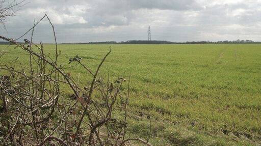 Field and pylon There is little to distinguish one field from another!