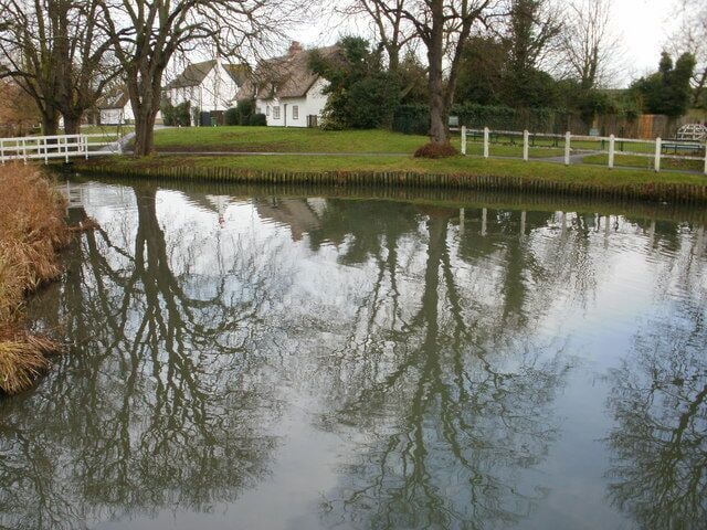 Tree reflections at Histon Green