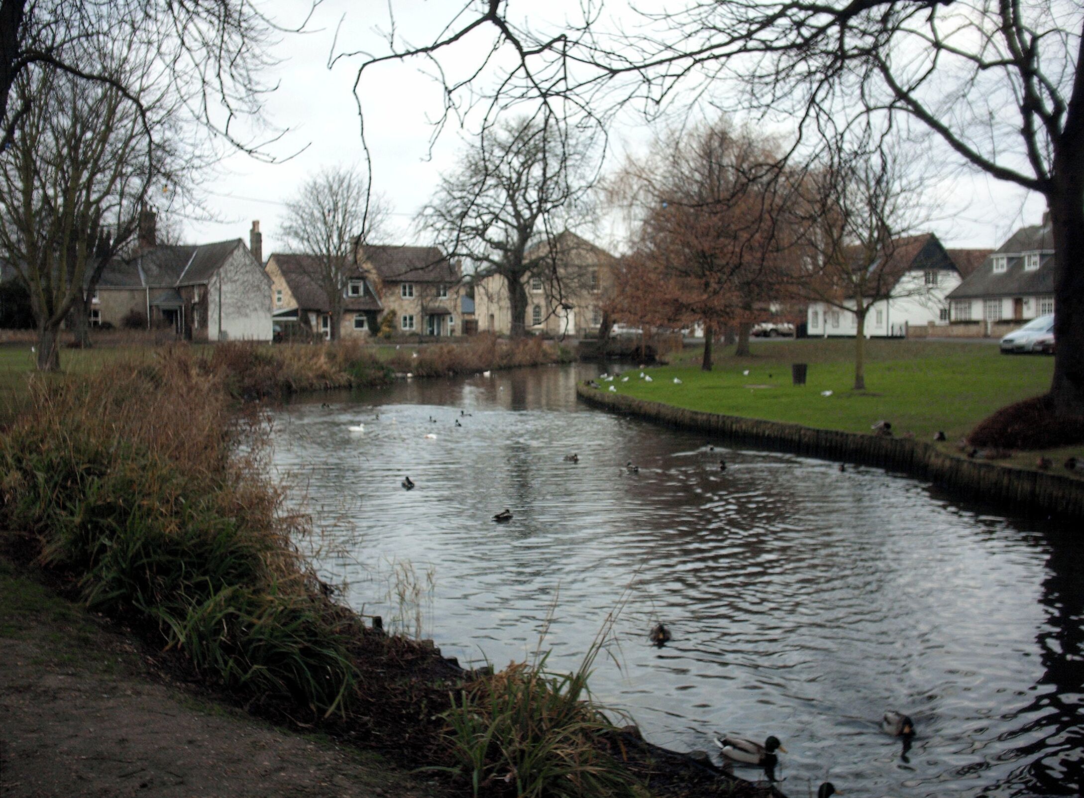 Histon pond