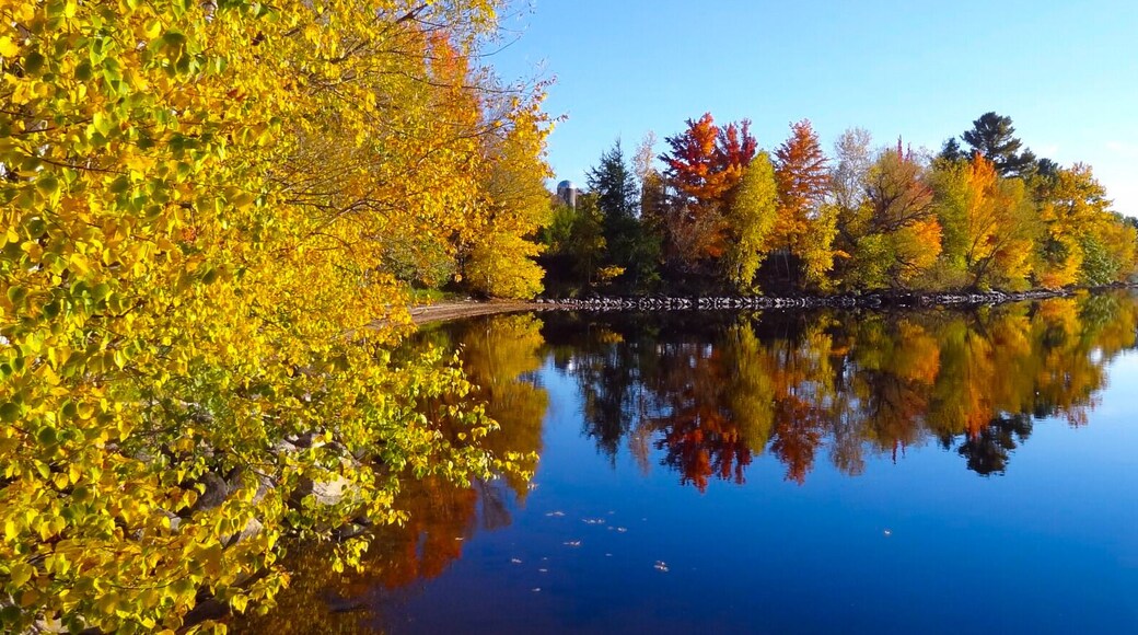 #localsecrets Wisconsin is the land of all that is cheese but did you know it has more lakes than Minnesota (land of 10,000 lakes?