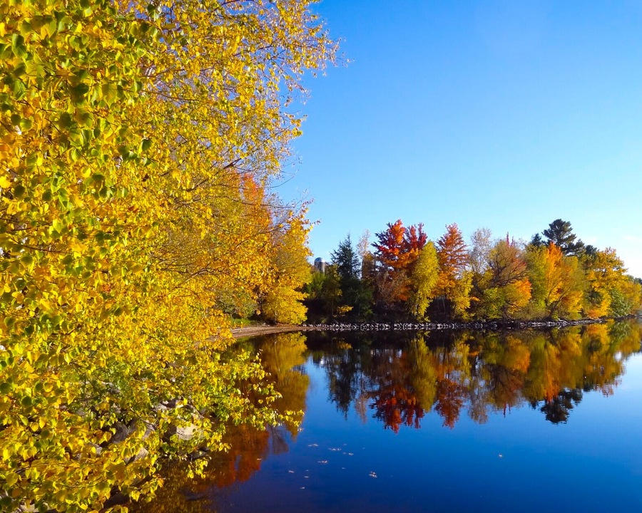 #localsecrets Wisconsin is the land of all that is cheese but did you know it has more lakes than Minnesota (land of 10,000 lakes?
