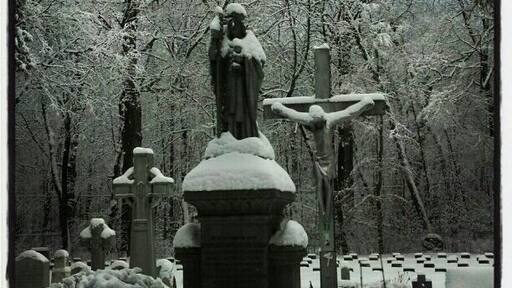 Creepy but beautiful