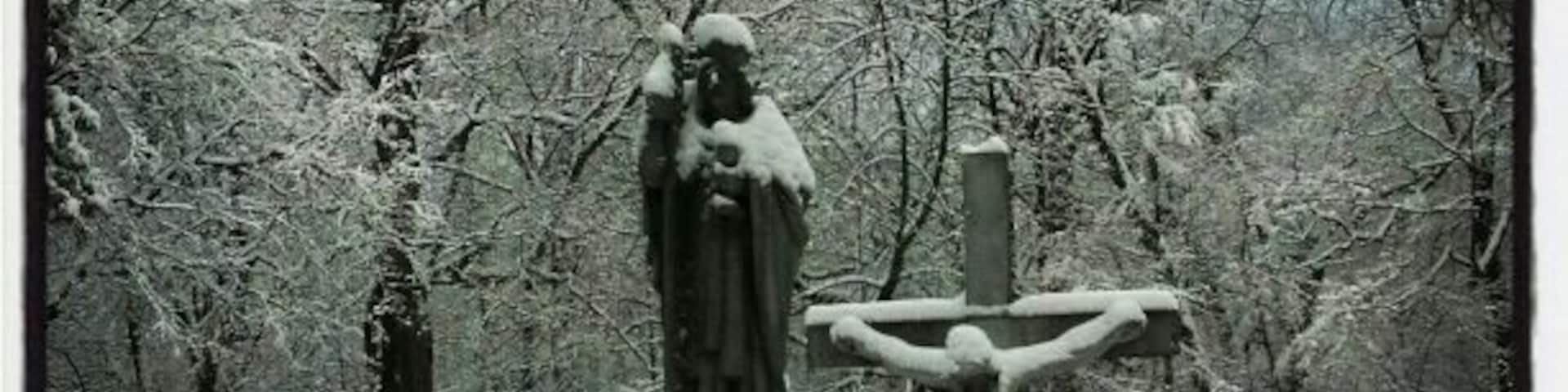 Creepy but beautiful