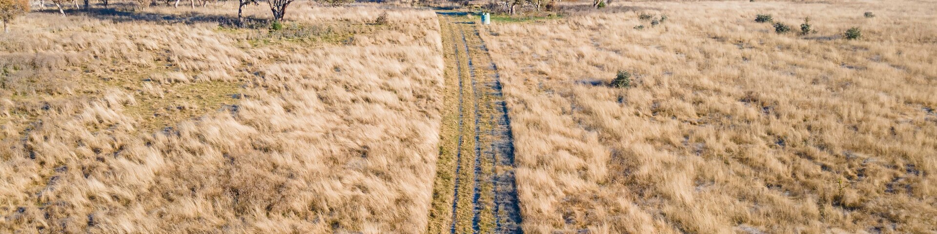 Frosty dirt road through the grass - aerial, Jerrabomberra West Nature Reserve, ACT, May 2021