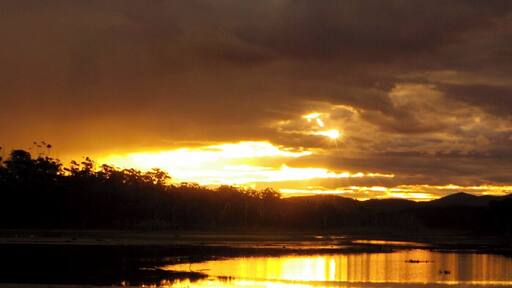 Nestled between Middle Beach and the Lagoon, Tanja Lagoon Camp offers spectacular scenery and wildlife. #GoldenHour
http://www.tanjalagooncamp.com.au/ (Not affiliated)