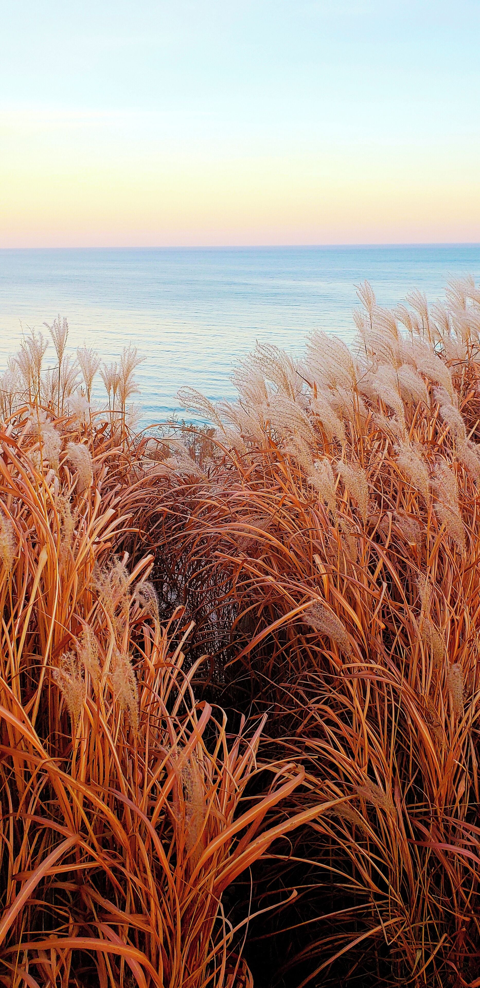 My favorite spot to go at sunset