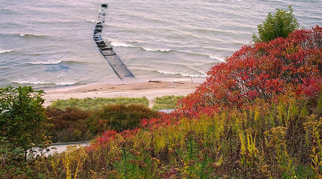 #localsecrets
Beautiful views of Lake Michigan at sunset