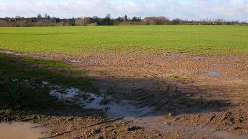 Blakesley New Shoots appearing through the rain sodden ground above Blakesley.The church Spire can be seen in the distance.