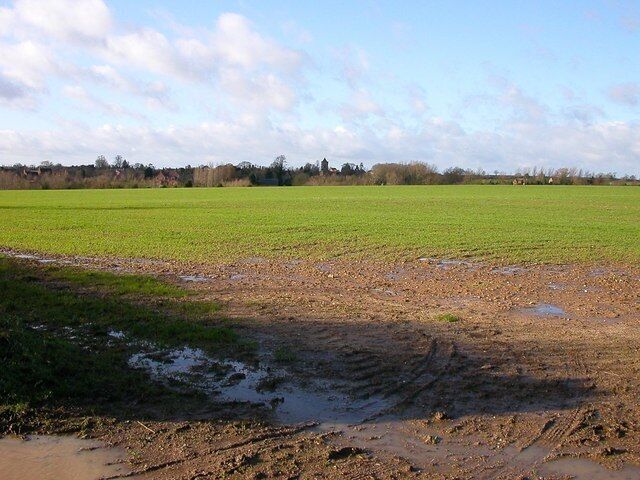 A muddy field with puddles and a green field in the background.