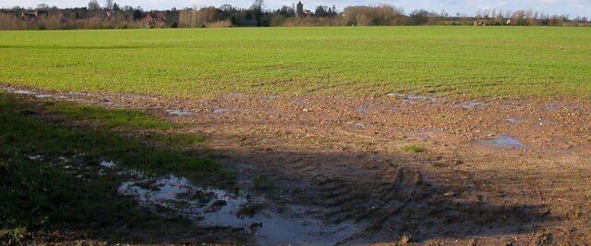 A muddy field with puddles and a green field in the background.