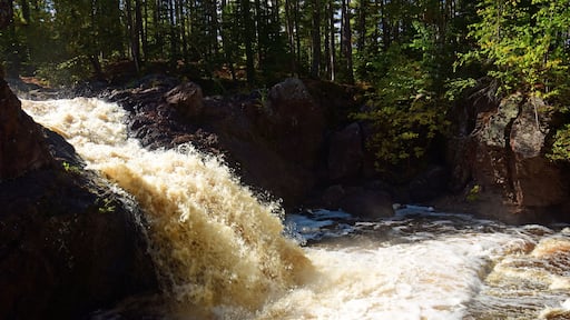 A waterfall cascading over rocks in a forested area.
