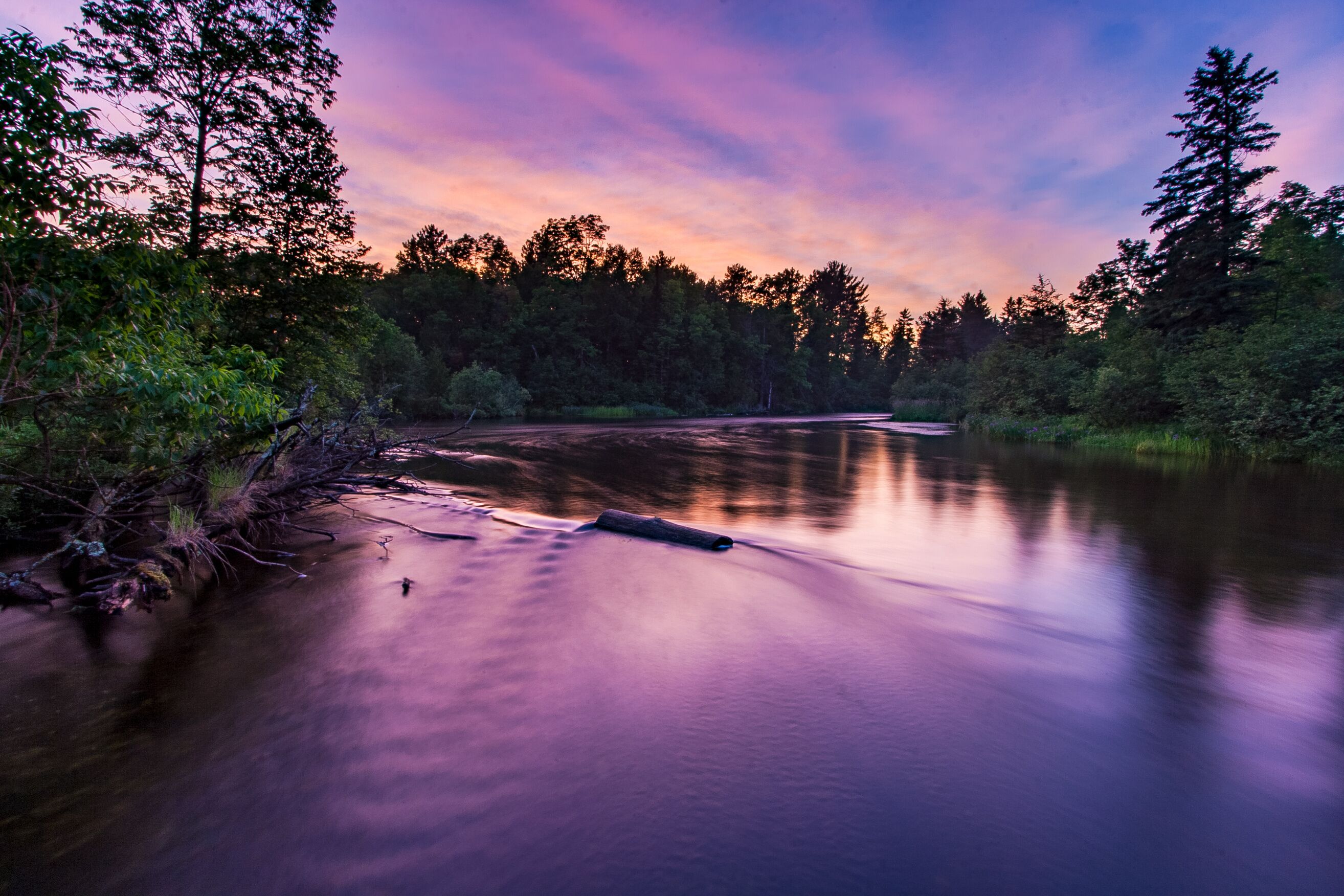 A calm river surrounded by dense forest at twilight.