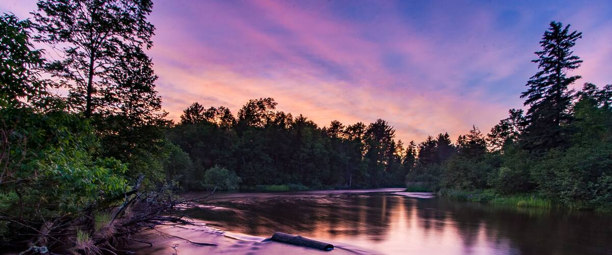 A calm river surrounded by dense forest at twilight.