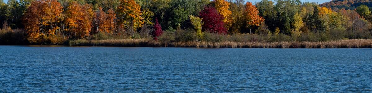 A Michigan lake shoreline in early fall