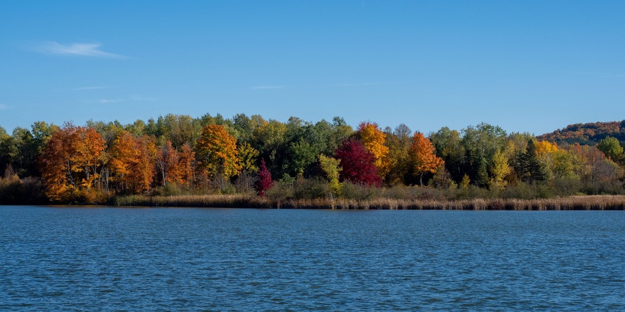A Michigan lake shoreline in early fall