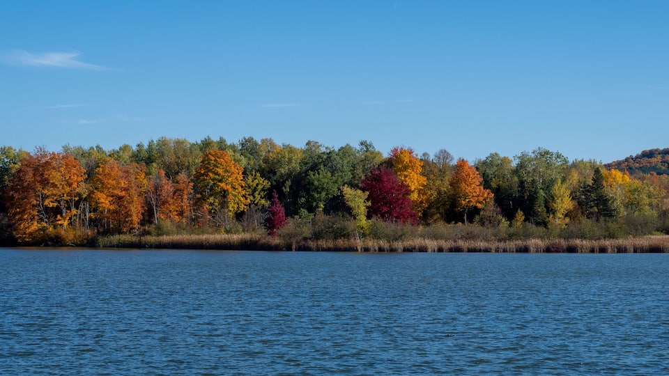 A lake with autumn foliage and a clear blue sky.