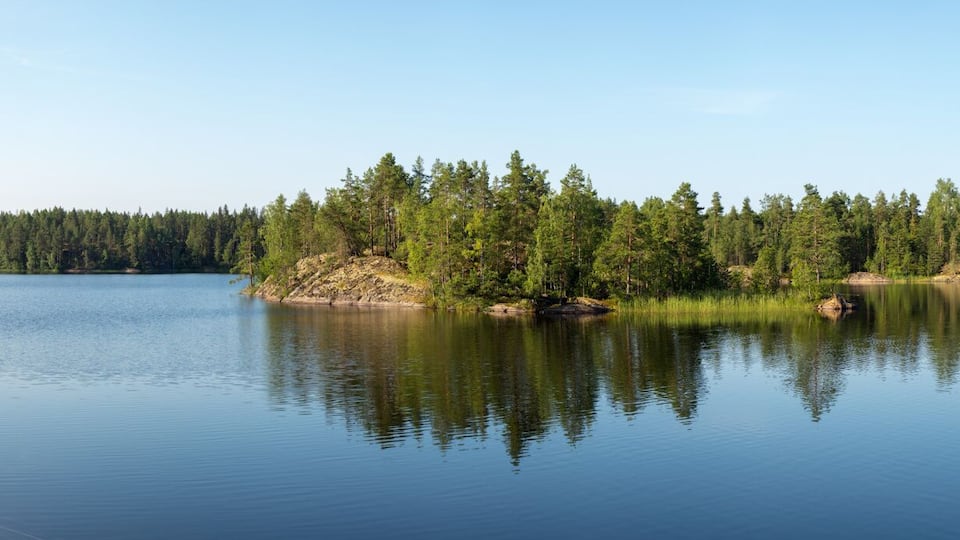 A calm lake surrounded by dense forest and a clear sky.