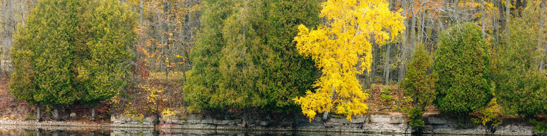 The softness of the fog over Quarry Lake in Harrington Beach State Park, Belgium, Wisconsin is penetrated by the colors of the shoreline cedars and birch trees