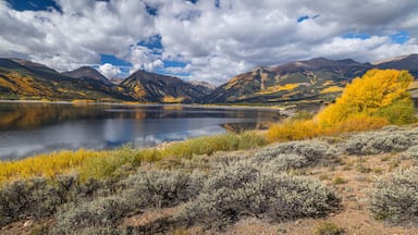Autumn aspens and cottonwoods turn gold over Twin Lakes, in the Sawatch Mountains of Colorado, USA.