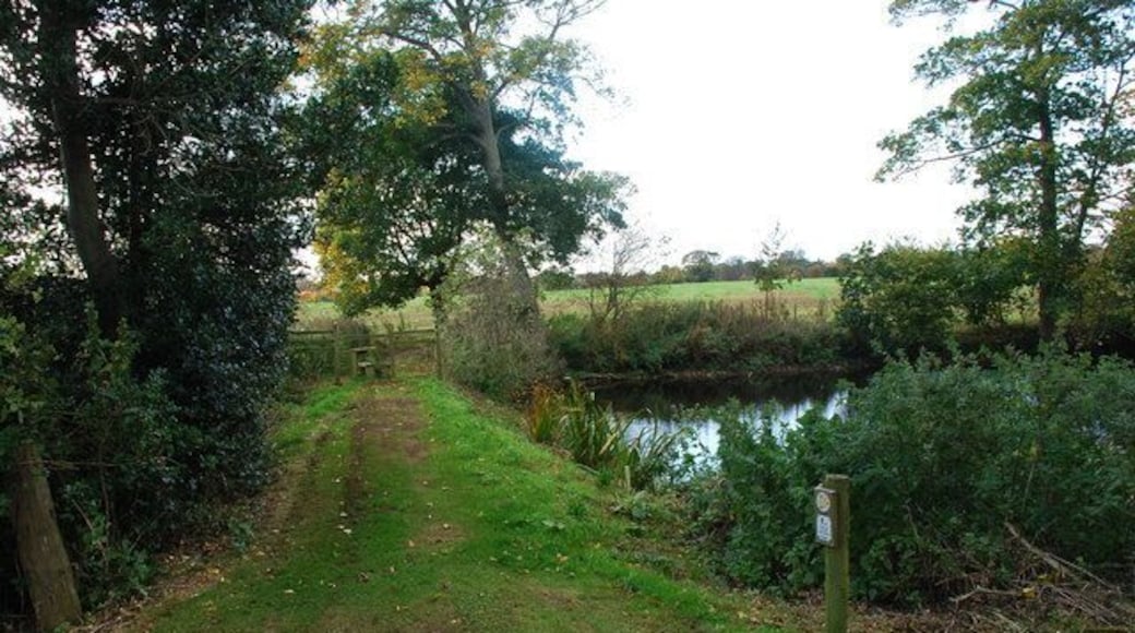 Besselsleigh Fishponds The dam at the south end of one of the former Medieval fishponds at Great Park Farm, Besselsleigh.