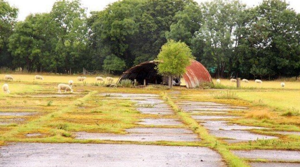 Derelict former RAF Nissen hut surrounded by sheep on what was the northern part of RAF Abingdon, Oxfordshrie (formerly Berkshire)