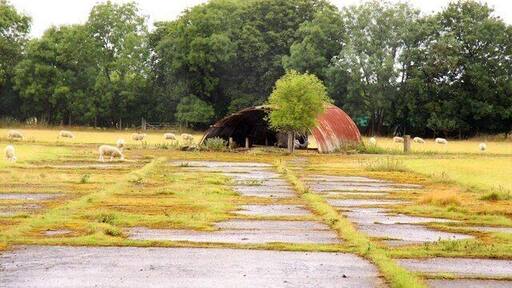 Derelict former RAF Nissen hut surrounded by sheep on what was the northern part of RAF Abingdon, Oxfordshrie (formerly Berkshire)