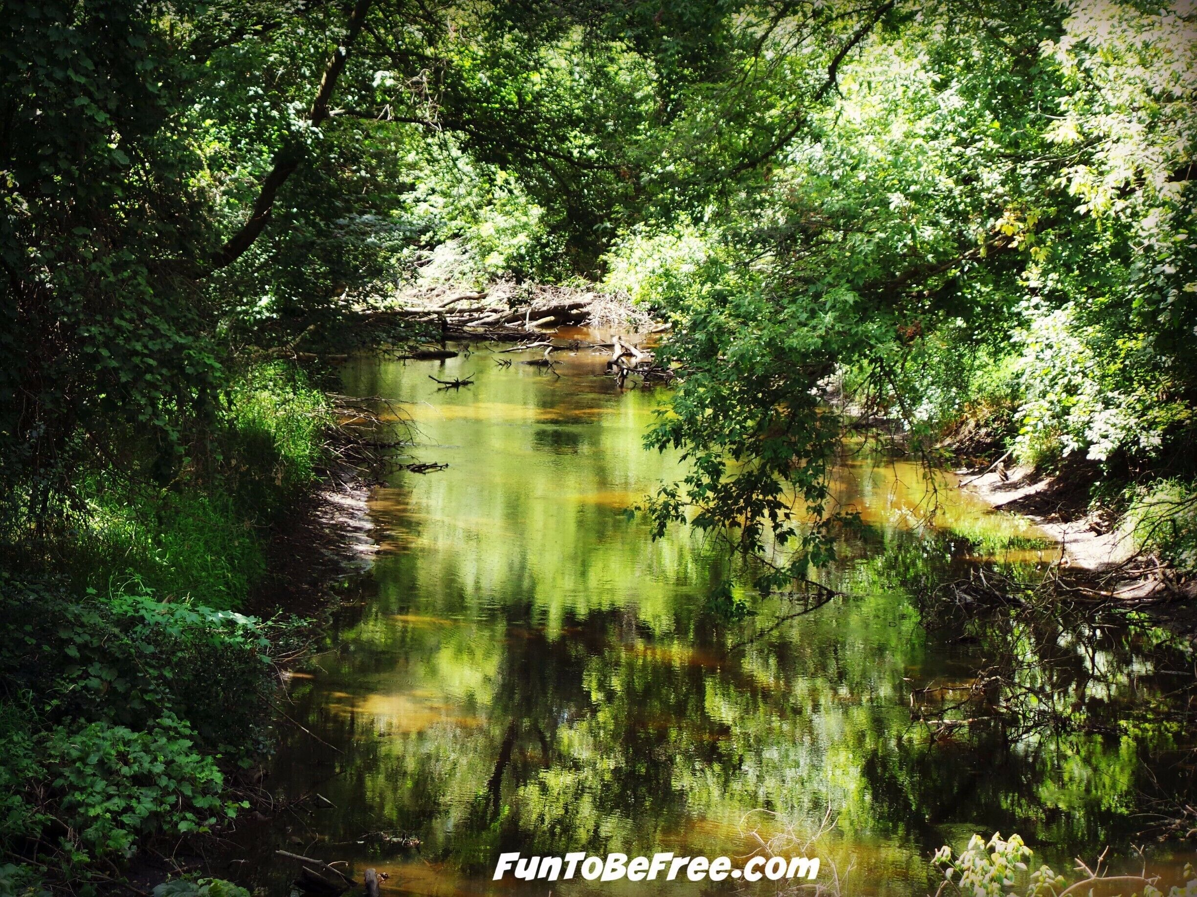 So many creeks and small lakes to see off the ‪#‎GlacialDrumlinTrail‬   ‪#‎Hiking‬ & ‪#‎Biking‬ ‪#‎WeekendGetAway‬ Part of my South Central Wisconsin album on Facebook.