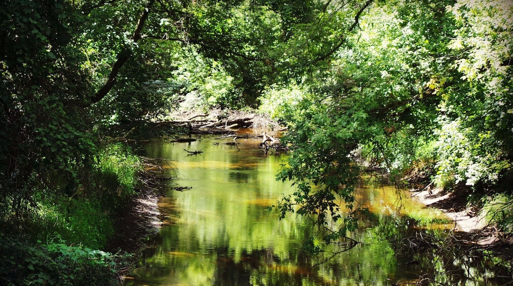 So many creeks and small lakes to see off the #GlacialDrumlinTrail #Hiking & #Biking #WeekendGetAway Part of my South Central Wisconsin album on Facebook.