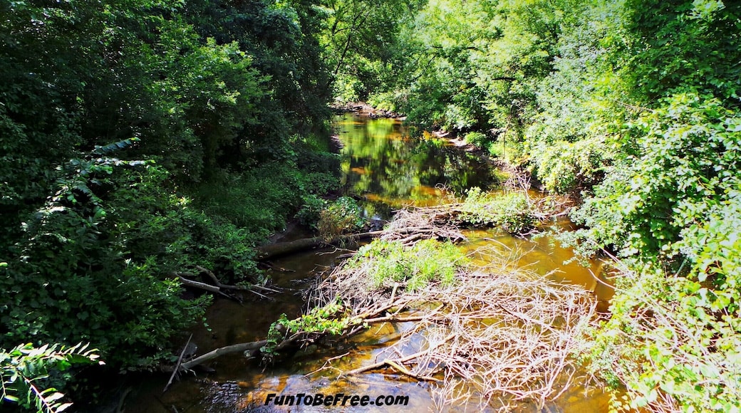 Mother Nature At It's Best. So many creeks and small lakes to see off the #GlacialDrumlinTrail #Hiking & #Biking #WeekendGetAway Part of my South Central Wisconsin album on Facebook.