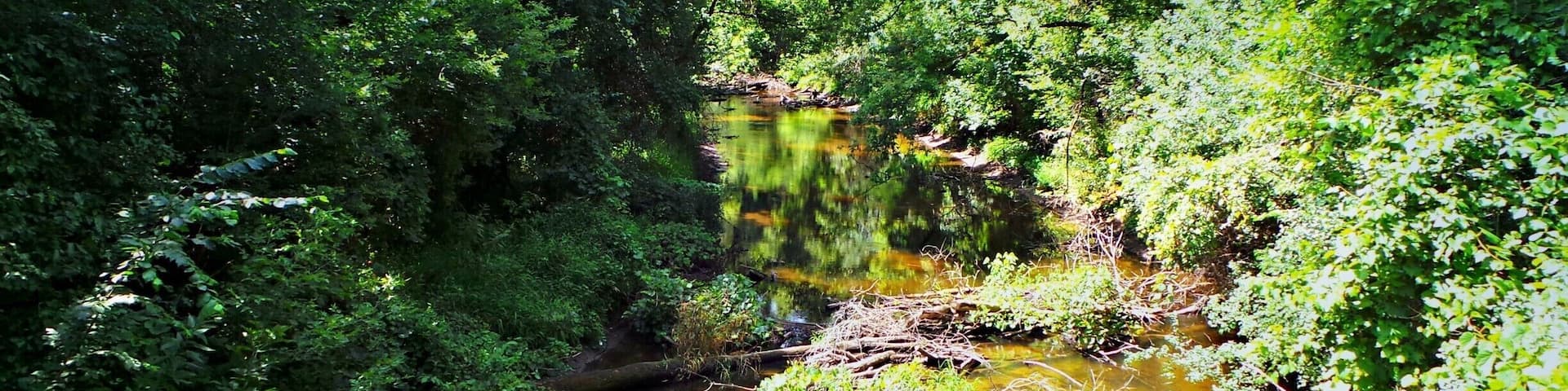 Mother Nature At It's Best. So many creeks and small lakes to see off the #GlacialDrumlinTrail #Hiking & #Biking #WeekendGetAway Part of my South Central Wisconsin album on Facebook.