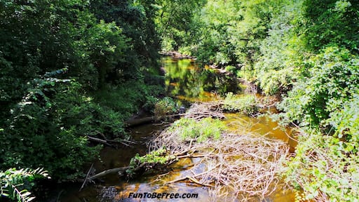 Mother Nature At It's Best. So many creeks and small lakes to see off the #GlacialDrumlinTrail #Hiking & #Biking #WeekendGetAway Part of my South Central Wisconsin album on Facebook.