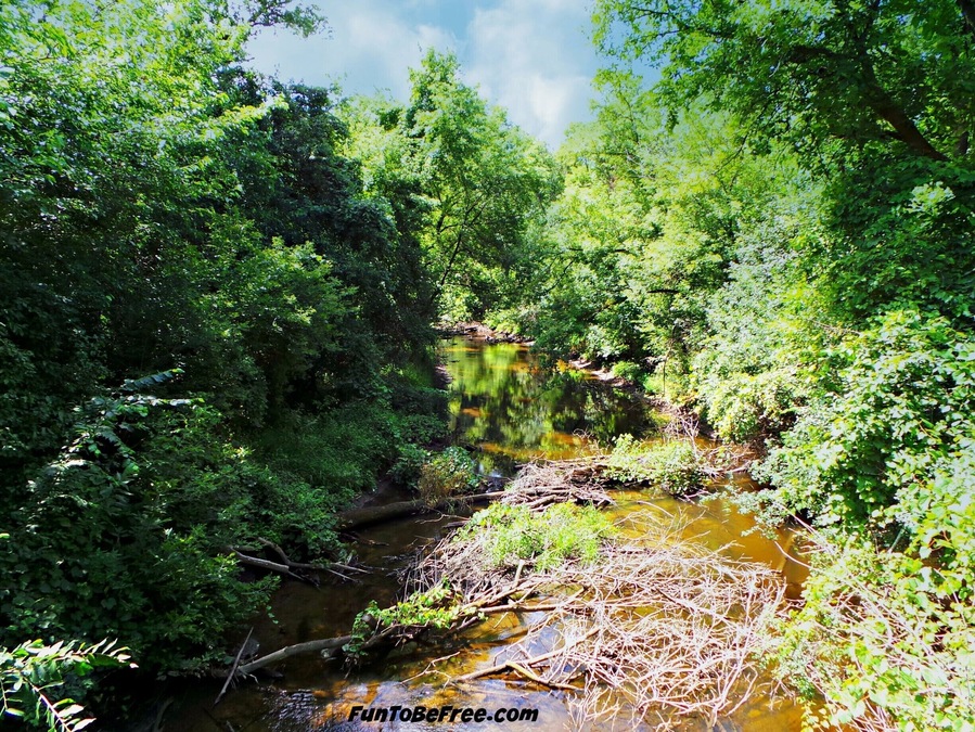 Mother Nature At It's Best. So many creeks and small lakes to see off the #GlacialDrumlinTrail #Hiking & #Biking #WeekendGetAway Part of my South Central Wisconsin album on Facebook.