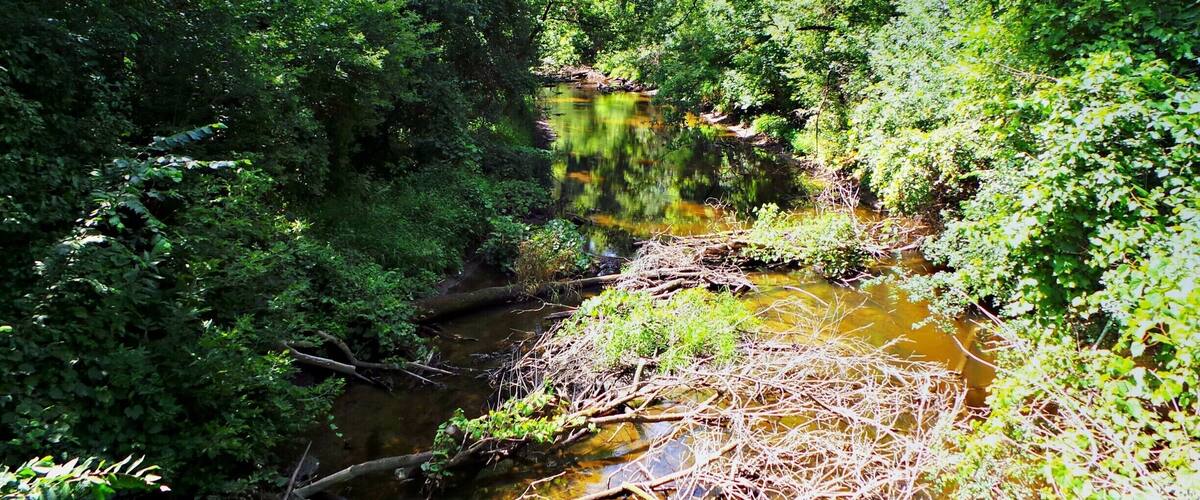 Mother Nature At It's Best. So many creeks and small lakes to see off the #GlacialDrumlinTrail #Hiking & #Biking #WeekendGetAway Part of my South Central Wisconsin album on Facebook.