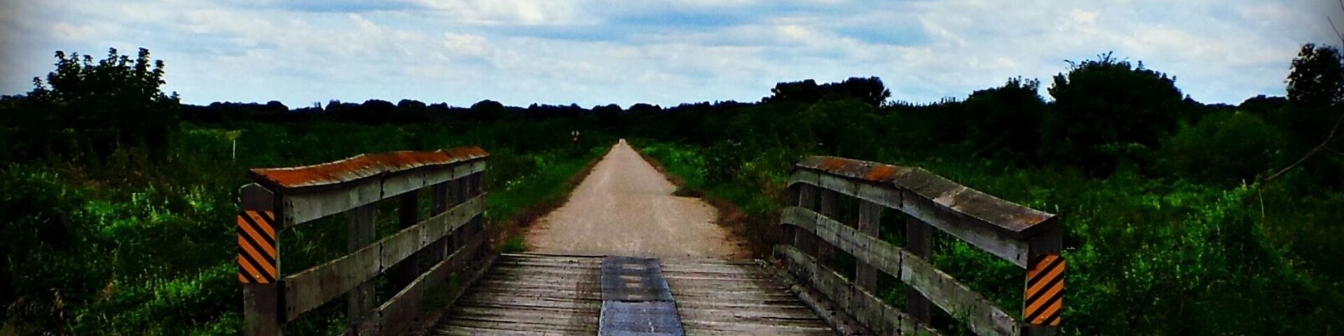 Un puente de madera sobre un camino de tierra con una superficie azul en el centro, rodeado de vegetación.