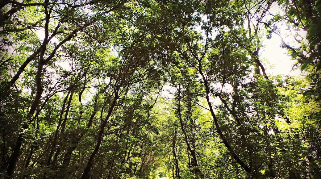 #GlacialDrumlinTrail Is a Amazing trail for #Hiking & #Biking #WeekendGetAway Many nice stops on the way. Part of my South Central Wisconsin album on Facebook.