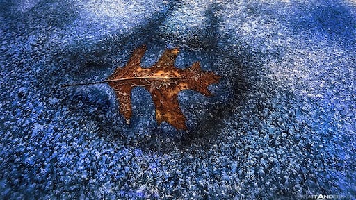 A colorful fall oak-tree leaf frozen on the icy surface at Devils Lake State Park.
Devils Lake State Park, Baraboo, Wisconsin.