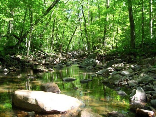 Slow streams luscious greens