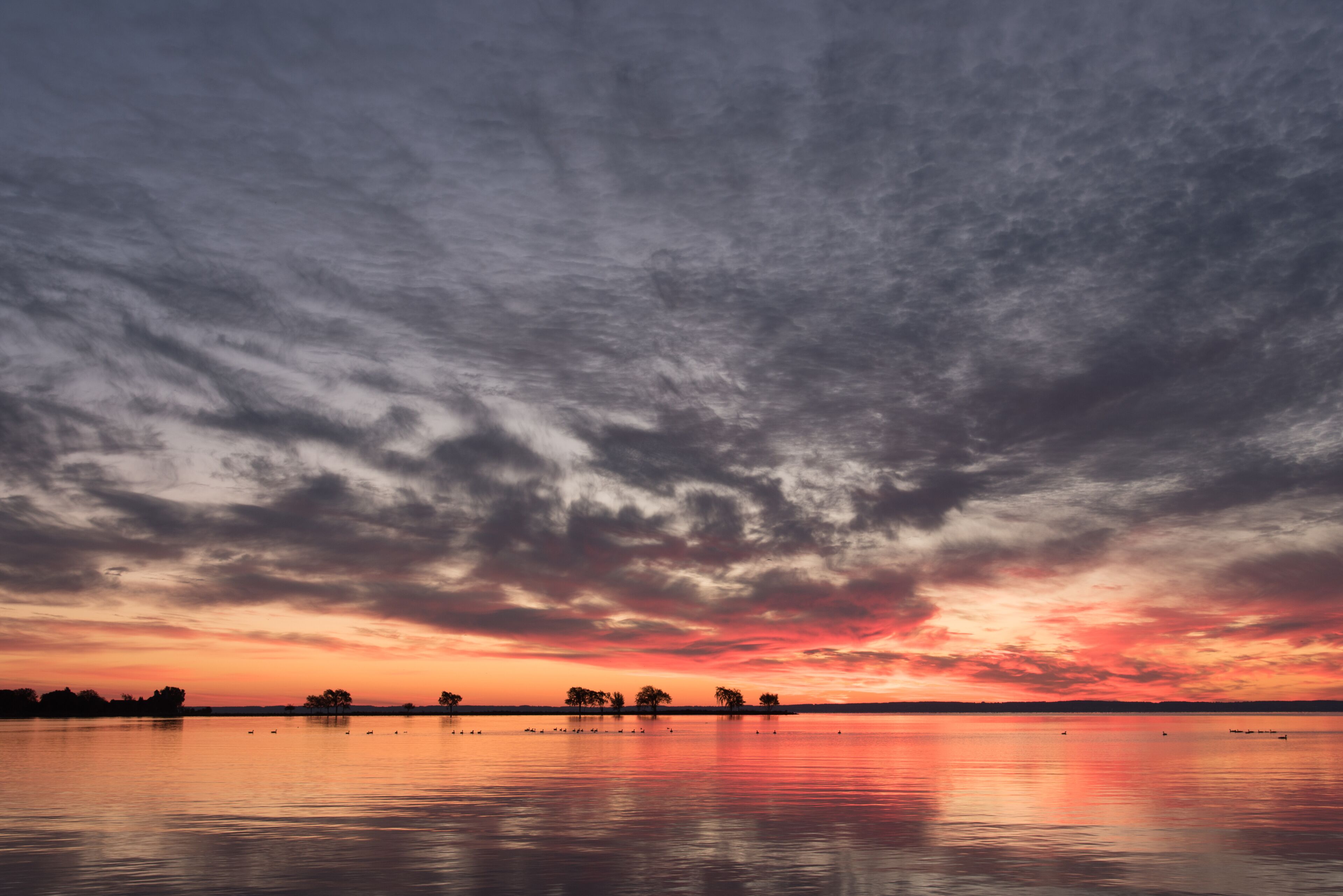 Lake Sunrise and Trees