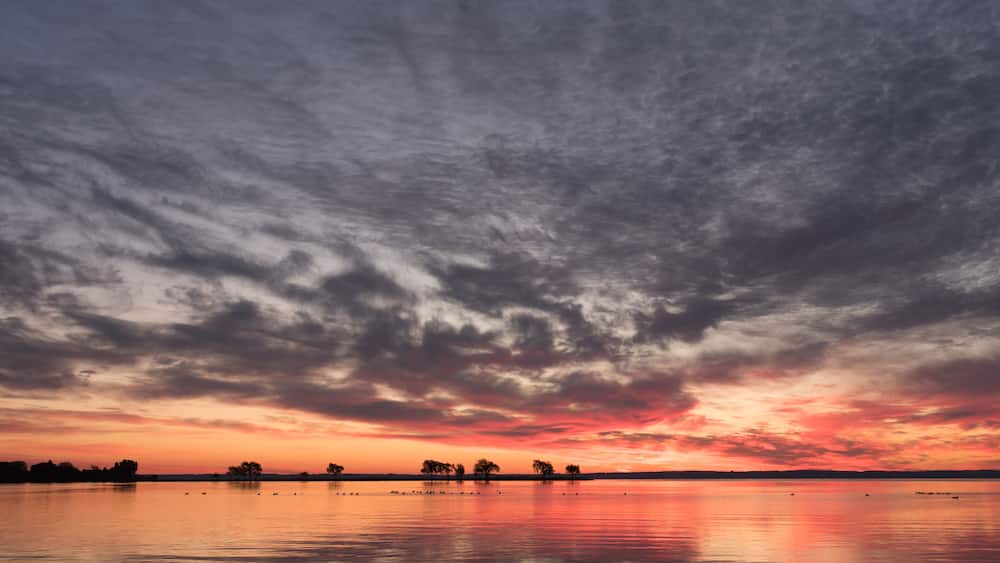 Ein Sonnenuntergang über einem ruhigen See, mit Baumkonturen und einem bewölkten Himmel.