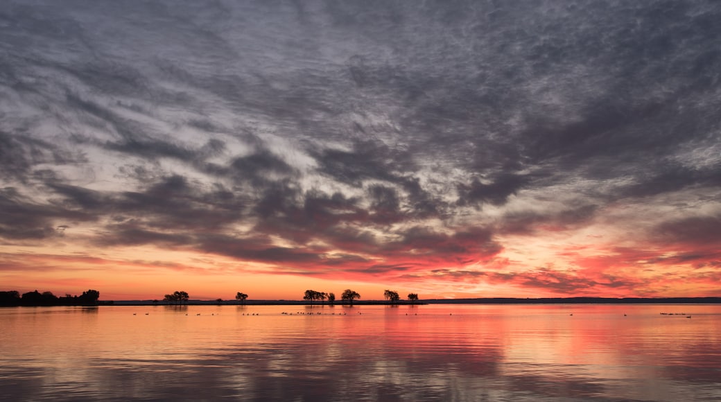 Lake Sunrise and Trees