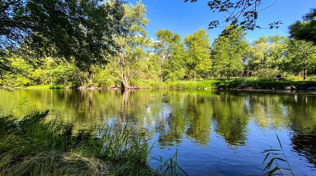 Little Wolf River in Symco Wisconsin on a Summer Day