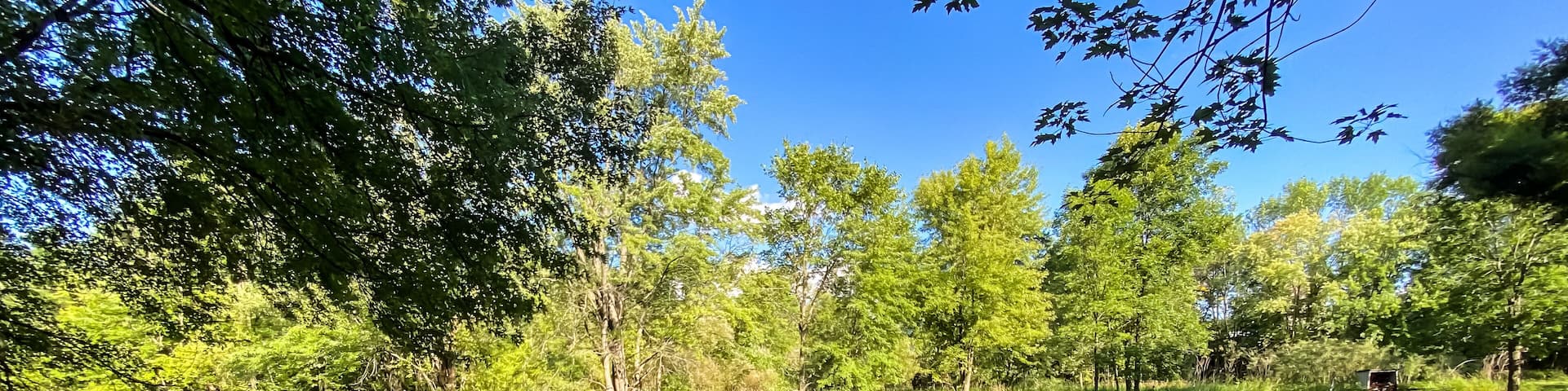 Little Wolf River in Symco Wisconsin on a Summer Day