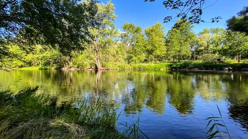 Little Wolf River in Symco Wisconsin on a Summer Day