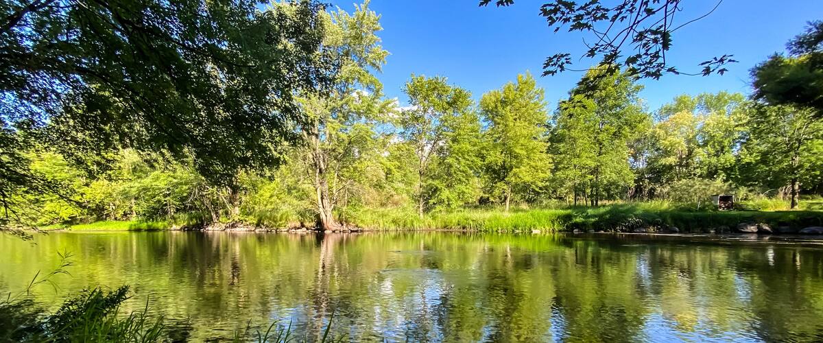 A calm lake surrounded by lush greenery and trees.