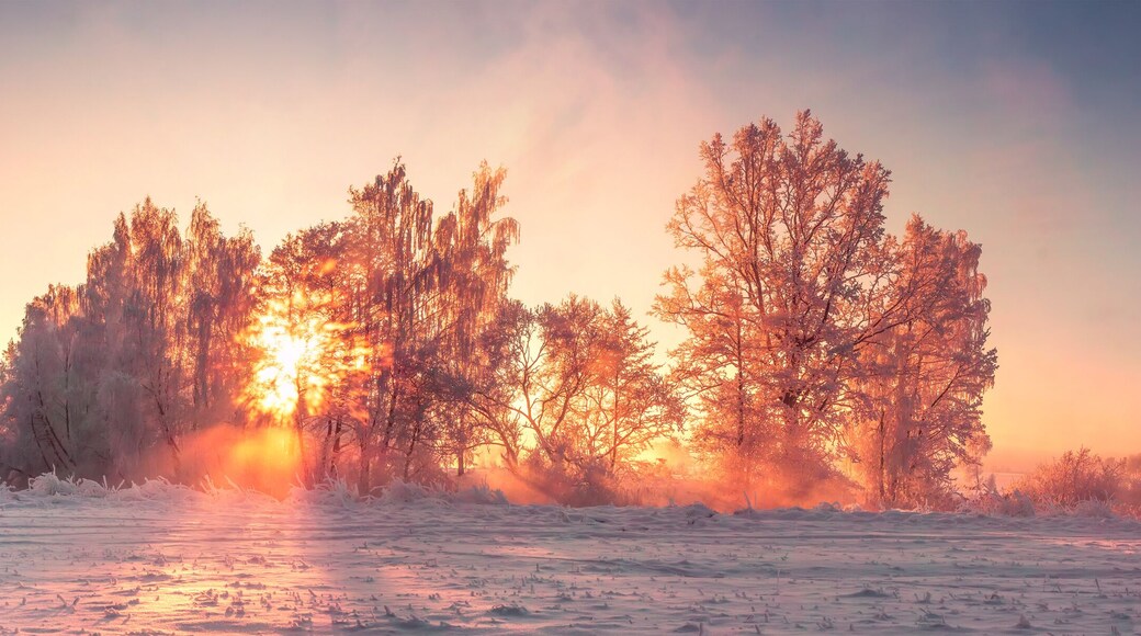Panorama of winter nature landscape at sunrise. Christmas background