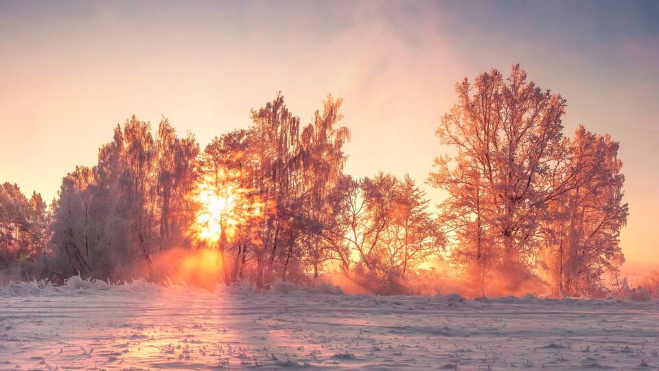 A snowy landscape with trees and a sunrise.