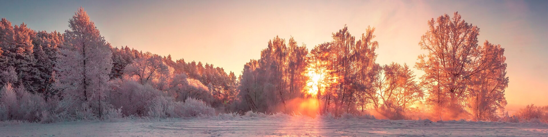 Un paisaje nevado con árboles y un amanecer.