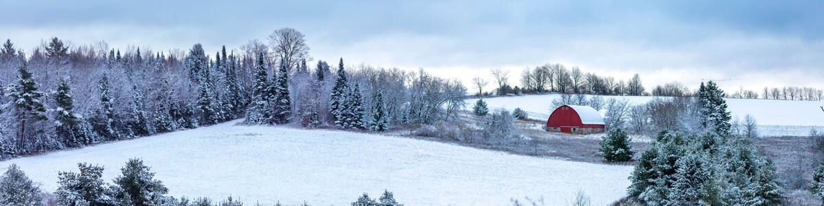 Old red barn next to a snow covered forest in a Wisconsin